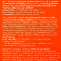 Туалетная вода мужская "Colour essences Orange", 100 мл