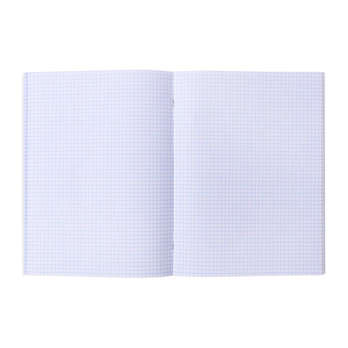 Тетрадь А4 96 листов в клетку Calligrata «Россия. Триколор», обложка мелованный картон, глянцевая ламинация, блок офсет