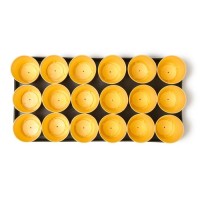 Набор для рассады: стаканы по 250 мл (18 шт.), поддон 41 × 20 см, цвет МИКС, Greengo