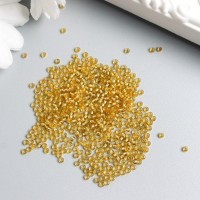 Бисер Чехия "Preciosa" 5г 10/0 (17020)