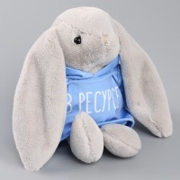 Мягкая игрушка «Зая. В ресурсе», 23 см