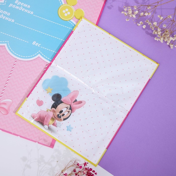 Обложка для документов набор «Мои первые документы», Минни Маус, 21×30 см