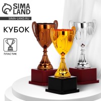 Кубок 045, наградная фигура, серебро, подставка пластик, 20 см