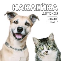 Наклейка 3Д интерьерная Домашние питомцы 50*40см