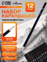 Набор карандашей чернографитных Calligrata, 12 штук, разная твёрдость, шестигранные, деревянные