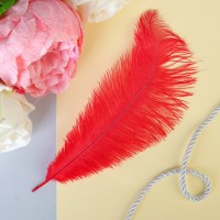 Перо для декора, размер: 20-24 см, цвет розовый