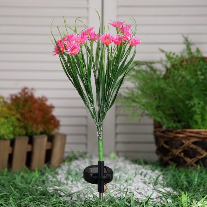 Садовый светильник на солнечной батарее «Маргаритки», 70 см, 42 LED, свечение белое