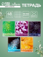 Тетрадь 48 листов в клетку, Calligrata «Микромир», МИКС