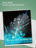 Тетрадь 48 листов в клетку, Calligrata «Микромир», МИКС