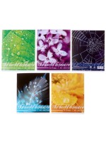 Тетрадь 48 листов в клетку, Calligrata «Микромир», МИКС