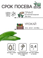Семена Огурец "Китайские змеи", 0,4 г
