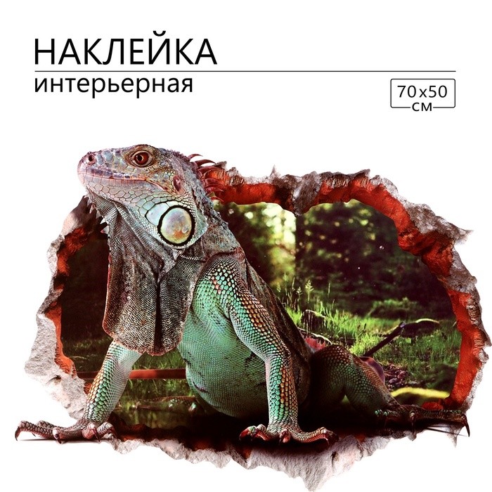 Наклейка интерьерная 3D на стену "Варан", 70×50 см, декоративная, цветная