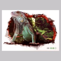 Наклейка интерьерная 3D на стену "Варан", 70×50 см, декоративная, цветная
