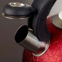 Чайник со свистком Доляна Snow, 3 л, индукция, цвет золото