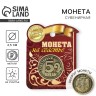 Монета сувенир «Счастливый пятак», d=2.5 см