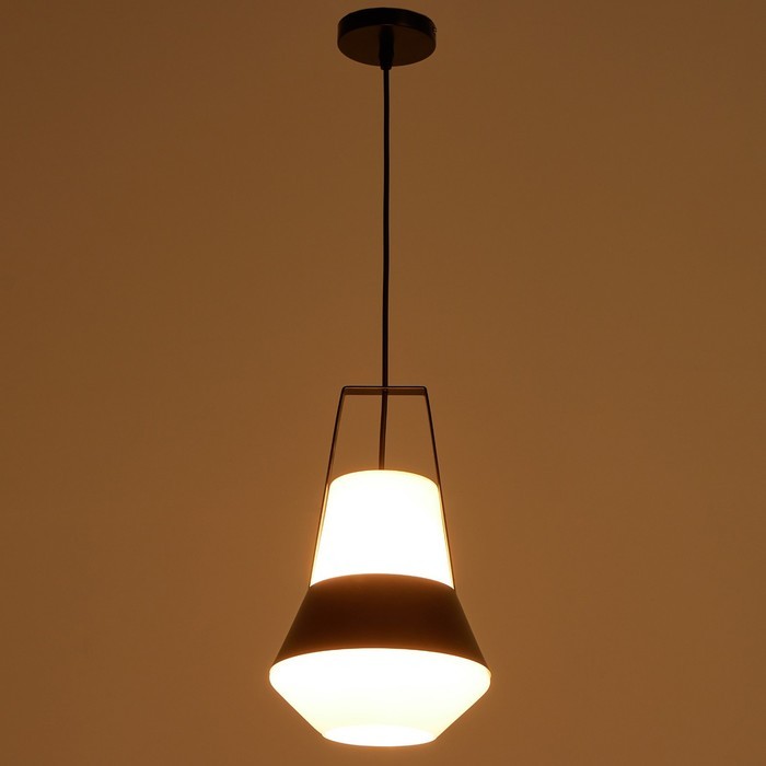 Светильник BayerLux 1653/1BK E27 40Вт черный 25х26х40-135 см