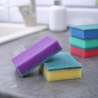 Набор губок для посуды с чистящим слоем Доляна «Стандарт», 9×6×2.5 см, 5 шт.