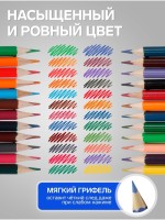 Карандаши Calligrata, цветные, двусторонние, 24 цвета, 12 шт., трёхгранные, деревянные