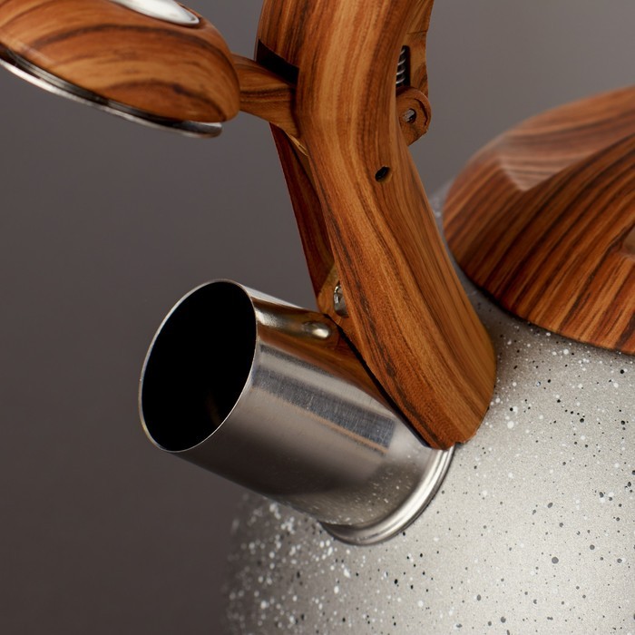 Чайник со свистком Magistro Stone, 2,7 л, ручка soft-touch, индукция, цвет бежевый