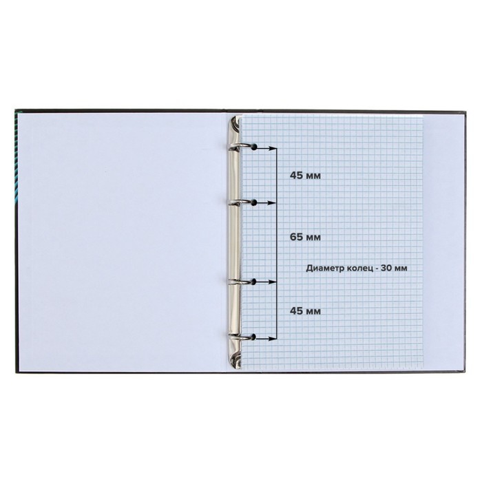 Тетрадь на кольцах A5 80 листов в клетку Calligrata «Аниме» обложка 7БЦ, без вырубки под кольца, блок офсет