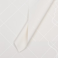 Пленка для цветов матовая, "С днём святого Валентина", 58х58см, белый