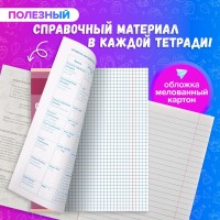 Набор предметных тетрадей 48 листов, Calligata TOP «Журнал», 10 предметов