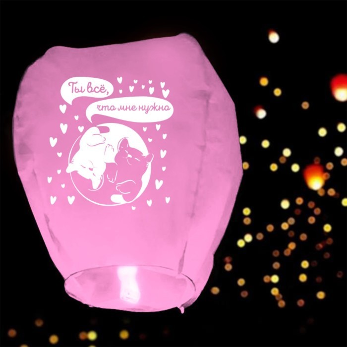 Фонарик желаний «Ты всё, что мне нужно» сердце