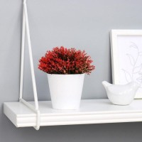 Бонсай "Мелкие цветочки" 8х12 см, микс