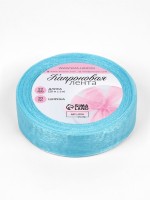 Лента капроновая, 20 мм, 20±1 м, тёмно-голубая