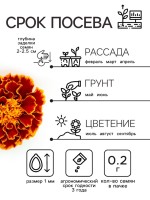 Семена цветов Бархатцы "Болеро", 0,2 г