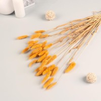 Декор сухоцвет "Лагурус" 65 см, жёлтый