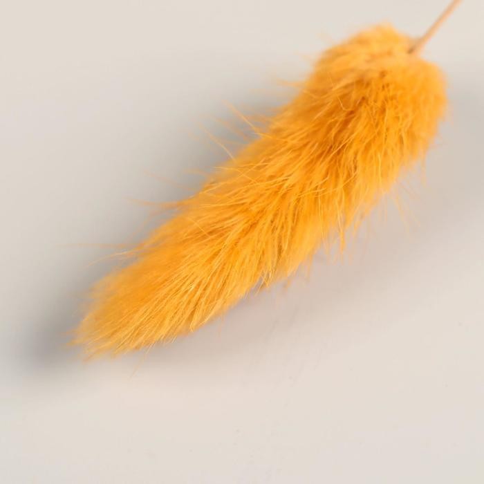 Декор сухоцвет "Лагурус" 65 см, жёлтый