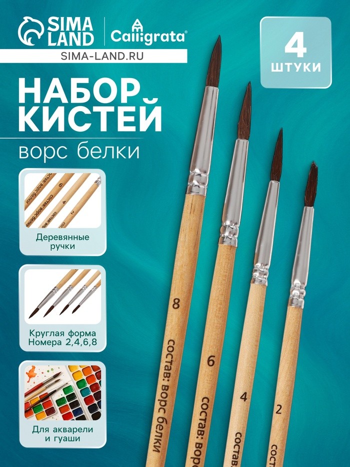 Набор кистей для рисования, белка, 4 штуки: № 2, 4, 6, 8, Calligrata, круглые, деревянная ручка, международный размер