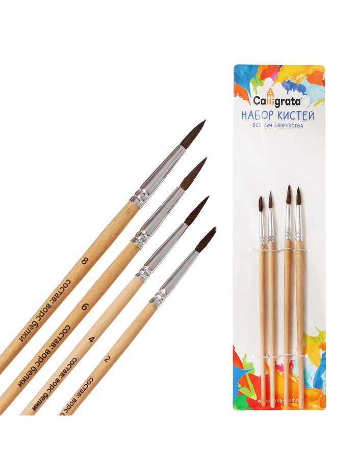 Набор кистей для рисования, белка, 4 штуки: № 2, 4, 6, 8, Calligrata, круглые, деревянная ручка, международный размер
