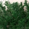 Гирлянда хвойная новогодняя «Зимнее волшебство», ёлочная, 270 см, d=6 см, 220 веток, 12.5 см
