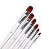 Набор кистей пони-синтетика, плоские, 6 штук, с прозрачными ручками (№2.4,6.8,10.12)