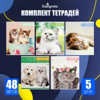 Комплект тетрадей из 5 штук, 48 листов в клетку Calligrata "Котята", обложка мелованный картон, блок офсет