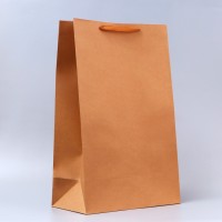 Пакет крафт без печати, вертикальный, 38×60×20 см 210 г