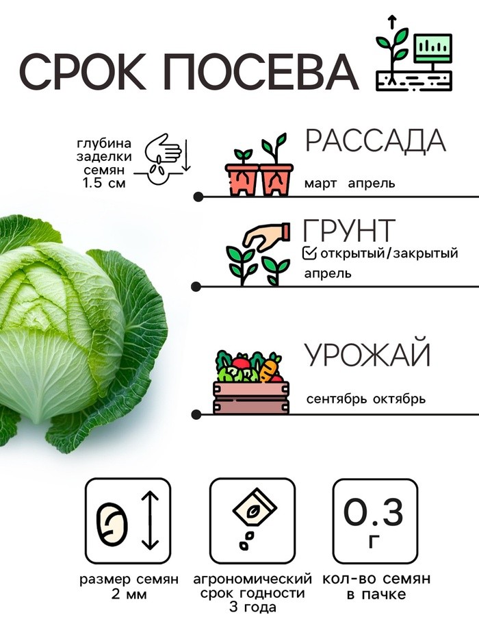 Семена Капуста белокочанная "Подарок", 0,3 г